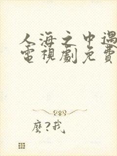 人海之中遇见你电视剧免费观看封面