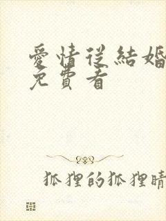 爱情从结婚开始免费看封面