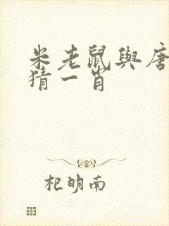 米老鼠与唐老鸭猜一肖