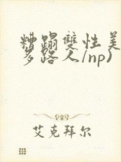 糟蹋双性美人(多路人/np)封面