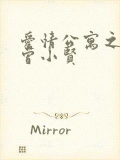 爱情公寓之极品曾小贤