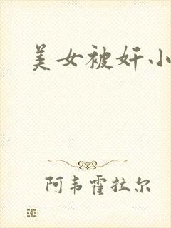 美女被奸小说封面