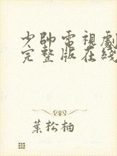 少帅电视剧免费完整版在线看