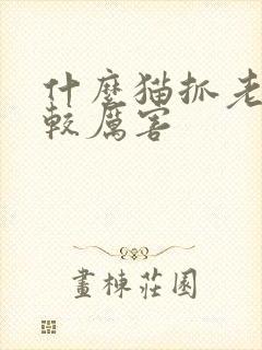 什么猫抓老鼠比较厉害封面