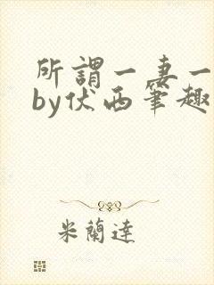 所谓一妻一夫制by伏西笔趣阁