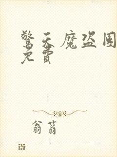 惊天魔盗团高清免费