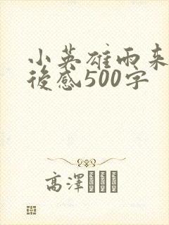 小英雄雨来的读后感500字