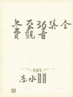 冬至36集全免费观看