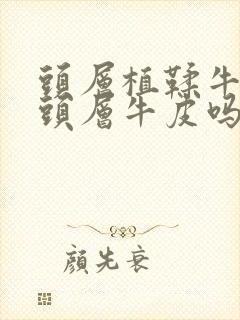 头层植鞣牛皮是头层牛皮吗