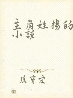 主角姓杨的修真小说封面