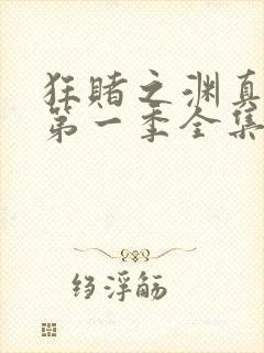 狂赌之渊真人版第一季全集免费观看