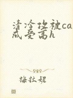 清冷攻被cao成受高h