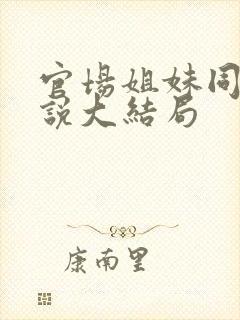 官场姐妹同夫小说大结局