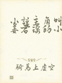 小说主角叫叶楚姜君瑶的小说