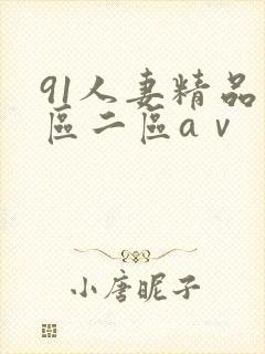 91人妻精品一区二区aⅴ