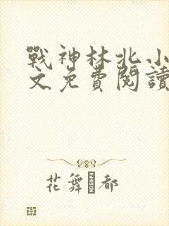 战神林北小说全文免费阅读