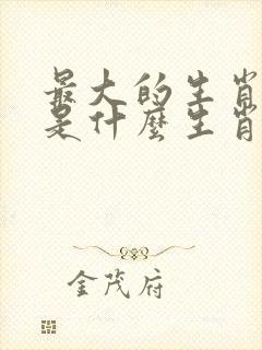 最大的生肖指的是什么生肖