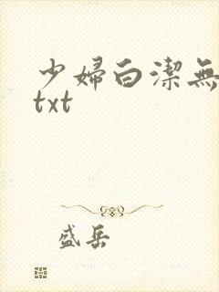 少妇白洁无删减txt