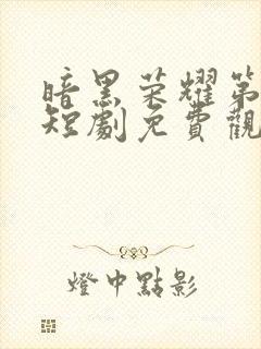 暗黑荣耀第二季短剧免费观看