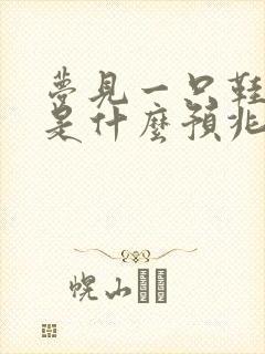 梦见一只鞋坏了是什么预兆