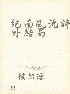 纪南风沈诗澜番外结局封面
