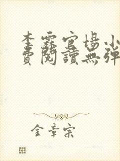 李霖官场小说免费阅读无弹窗