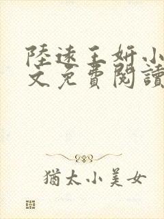 陆远王妍小说全文免费阅读