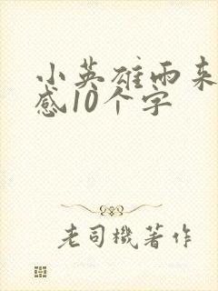 小英雄雨来读后感10个字