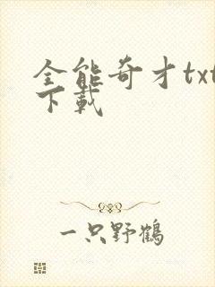 全能奇才txt下载