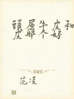 头层牛皮和超纤皮哪个好