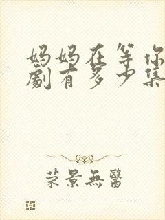 妈妈在等你电视剧有多少集