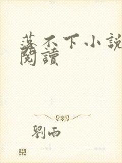 落不下小说免费阅读封面