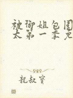 被御姐包围的正太第一季免费播放全集