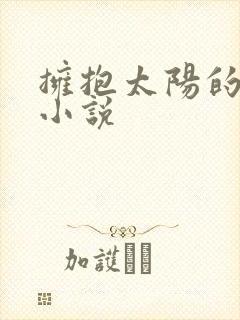 拥抱太阳的月亮小说