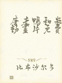 唐老鸭和米老鼠动画片免费观看