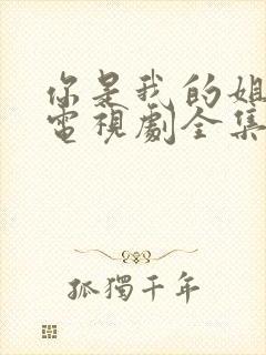 你是我的姐妹 电视剧全集免费观看