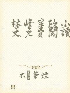 林峰宁欣小说全文免费阅读在哪下封面