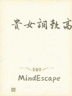 贵女调教高h封面