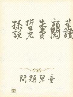 孙哲朱颜叶巧小说免费阅读