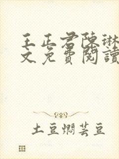 王正君陈琳洁全文免费阅读最新章节