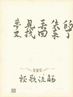 梦见丢失的东西又找回来了封面