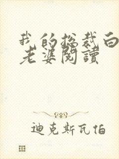 我的总裁白富美老婆阅读