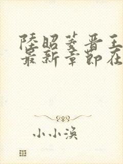 陆昭菱晋王小说最新章节在线阅读