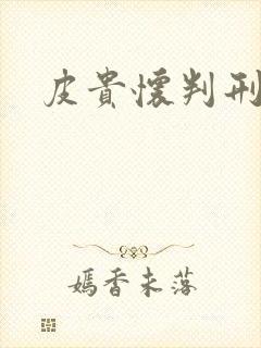 皮贵怀判刑几年