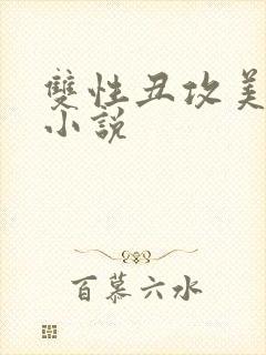 双性丑攻美人受小说封面