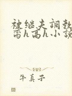 被继夫调教成禁脔h高h小说