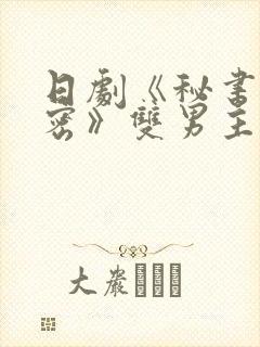 日剧《秘书的秘密》双男主电视剧