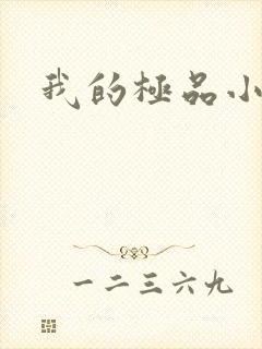 我的极品小姨封面