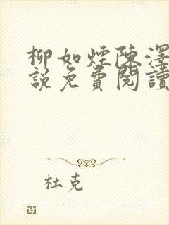 柳如烟陈泽的小说免费阅读