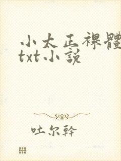 小太正裸体调教txt小说